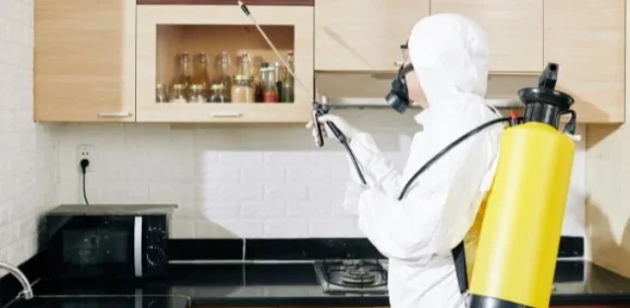 commercial rodent control